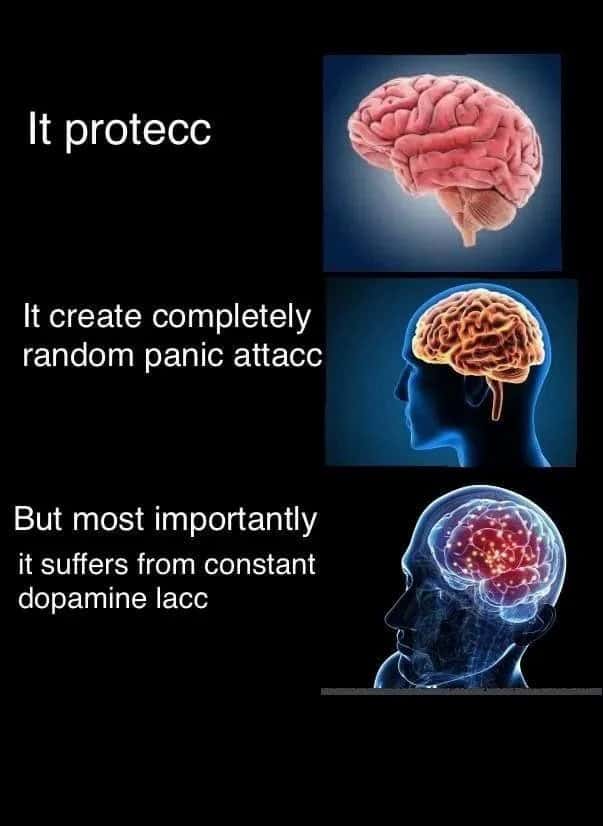 Expanding brain meme about brain protecting, panic attacks, and dopamine lack