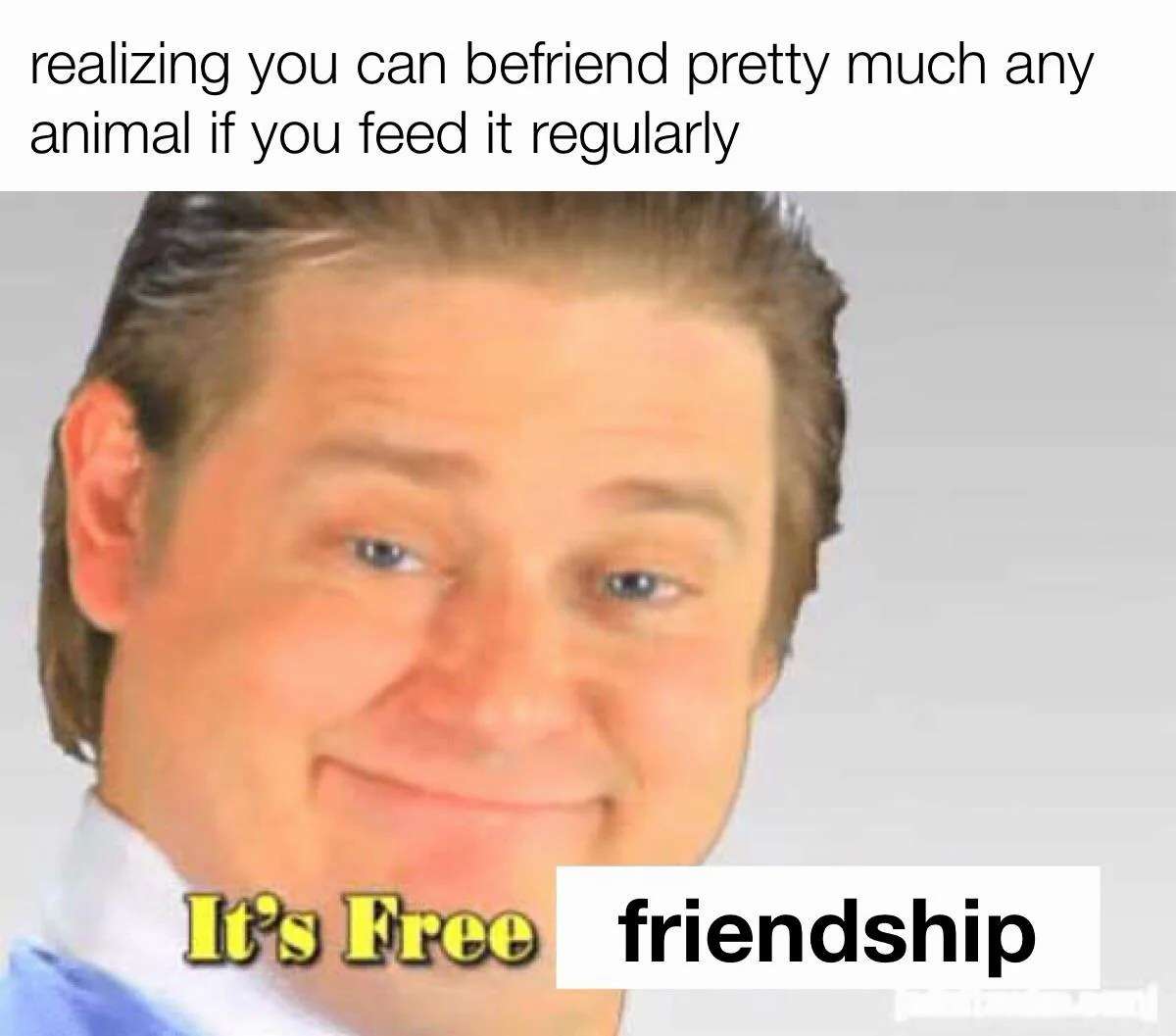 Funny Meme About Free Animal Friendship With Regular Feeding