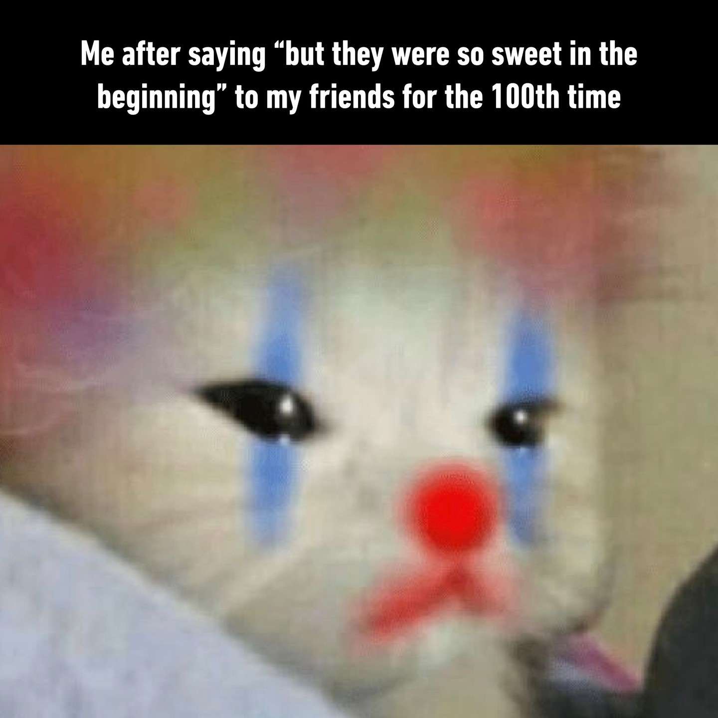 Clown Cat Meme: Defending Someone Who Was Sweet At First