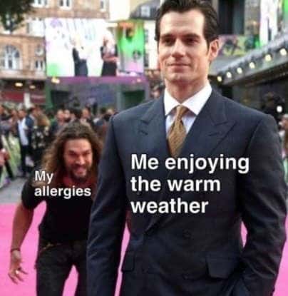 Me Enjoying Warm Weather My Allergies Meme