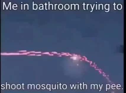Hilarious Bathroom Meme: When You Try to Shoot a Mosquito Mid-Pee