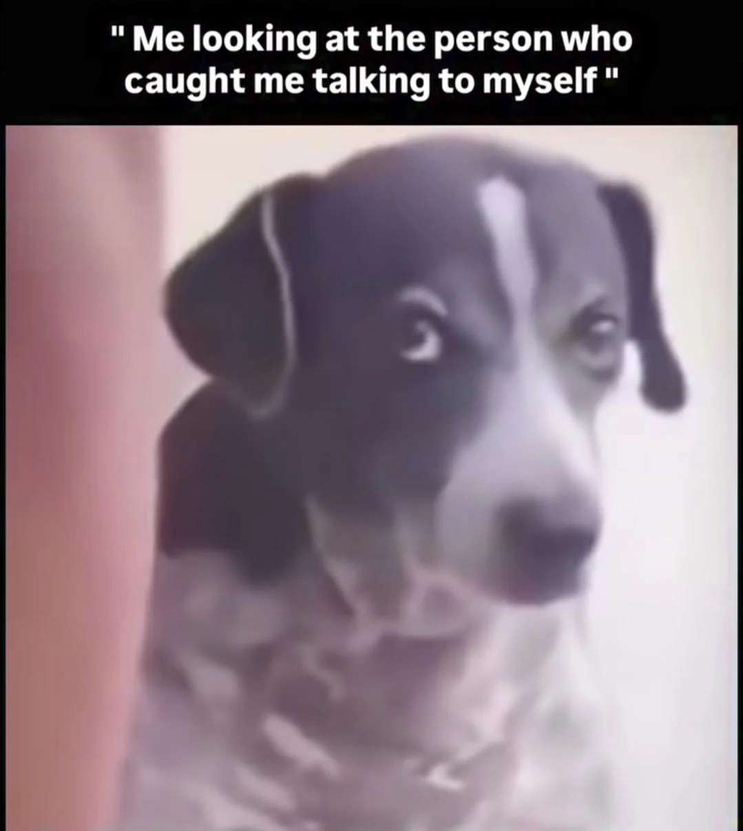 Dog Caught Talking To Himself Meme: The Viral Relatable Meme