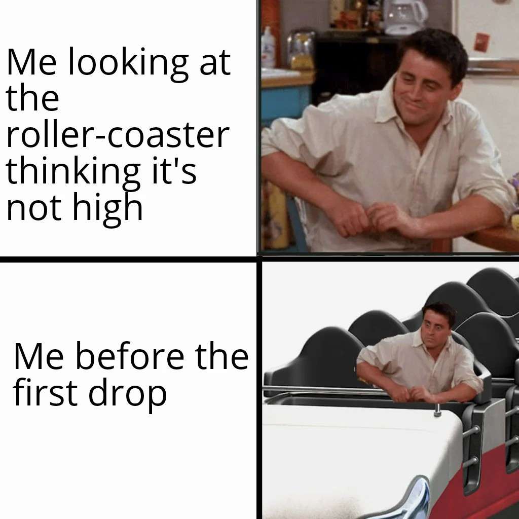 Funny Friends meme showing the roller coaster confidence vs reality