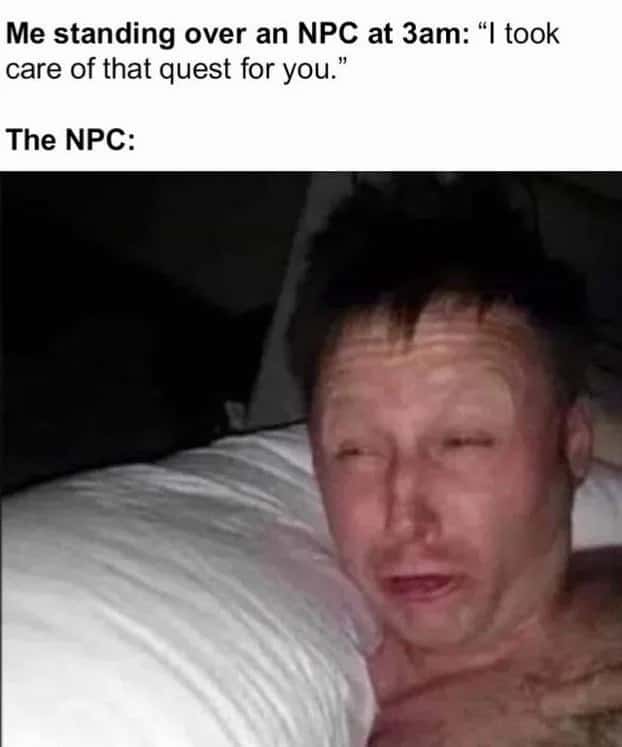 Funny Video Game Meme About Waking Sleeping Npcs At 3am