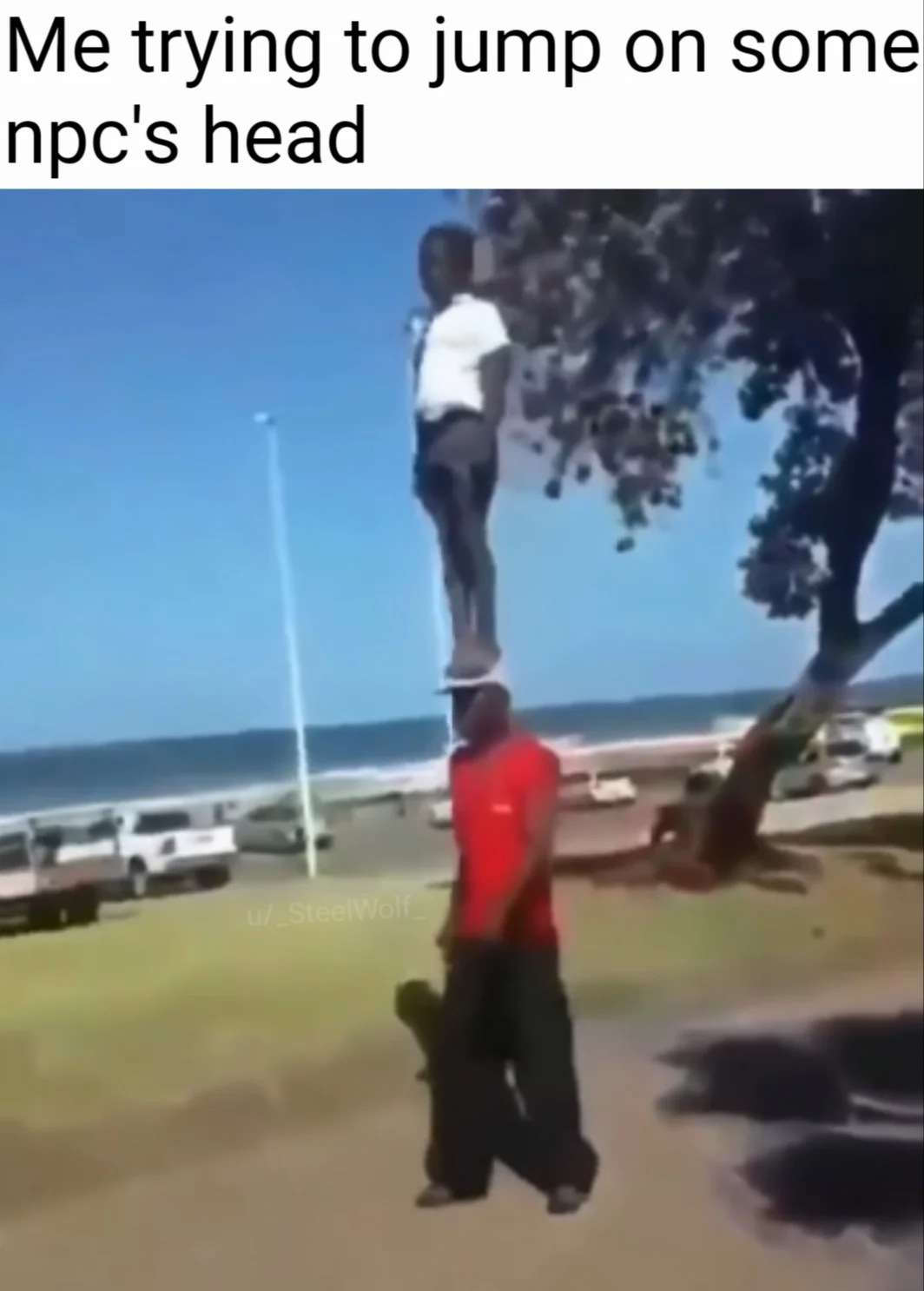 Funny Npc Head Jump Meme Gamer Life