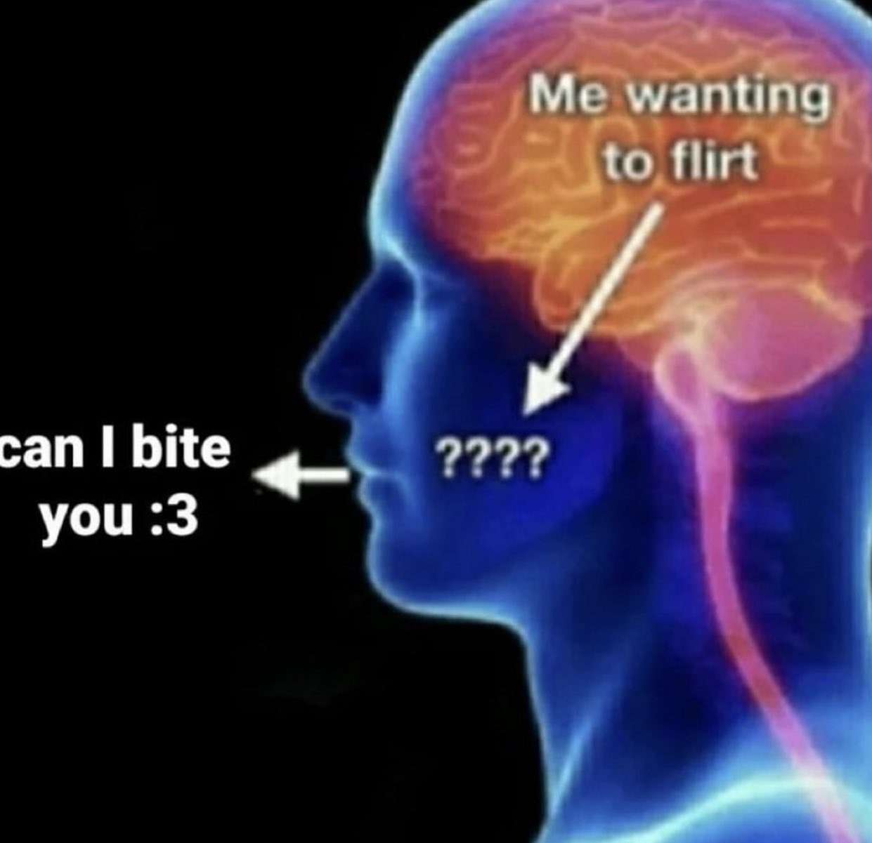 Awkward flirting meme brain vs mouth with bite request