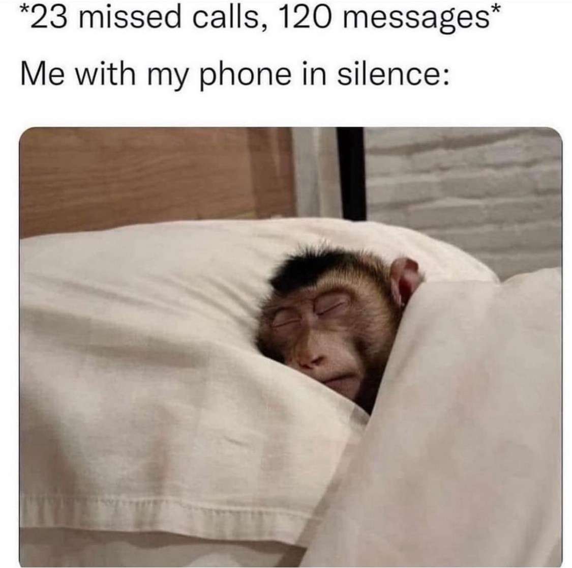Calm Monkey Meme About Ignoring Calls And Messages On Silent