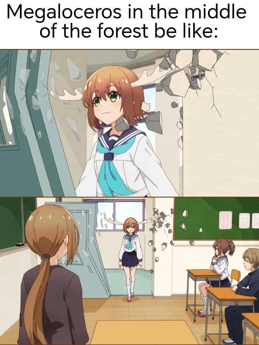 Funny Megaloceros Anime Girl Breaking Door Meme