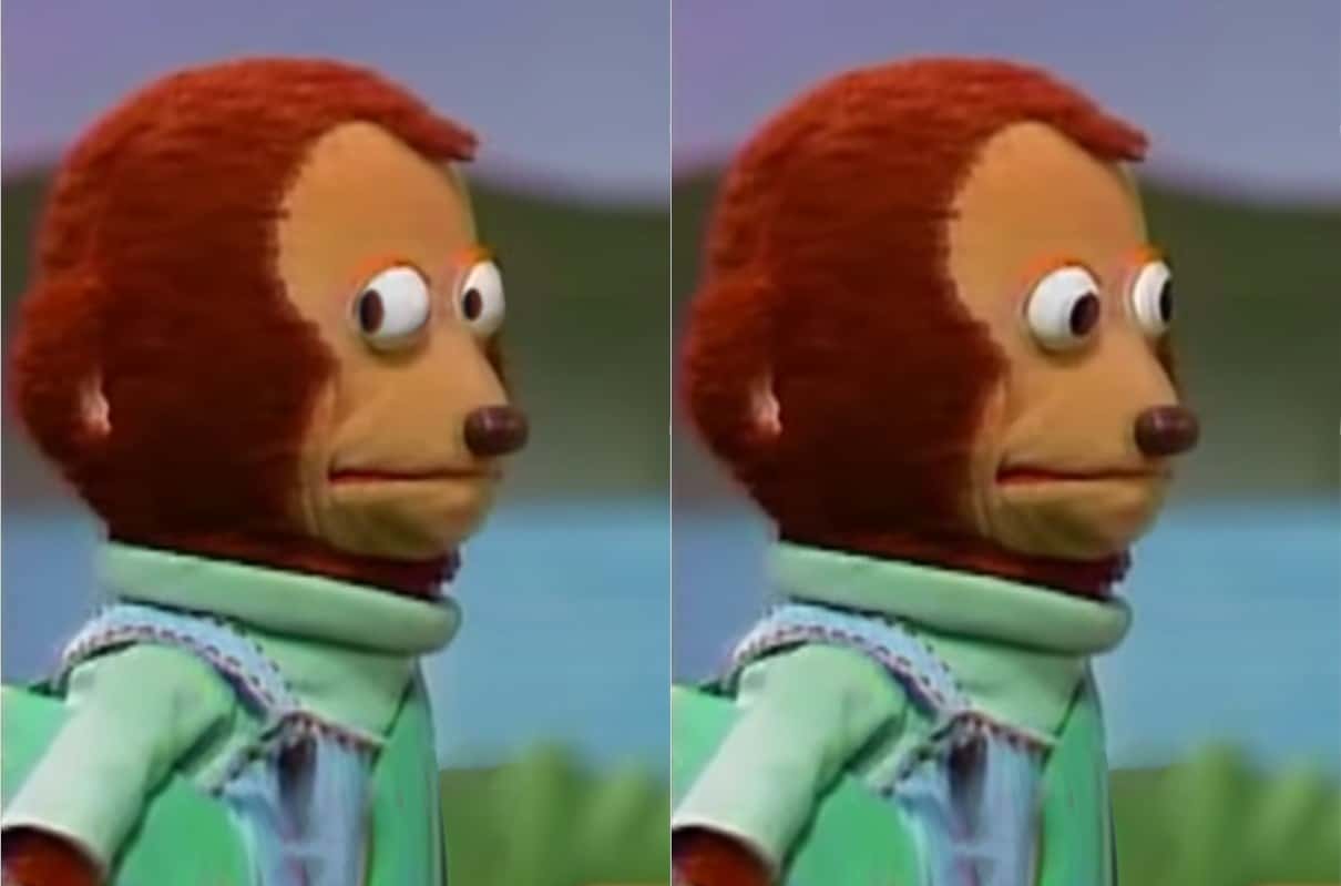 Monkey puppet meme template