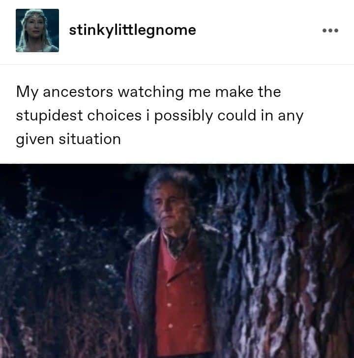Relatable Ancestors Watching My Stupid Choices Meme