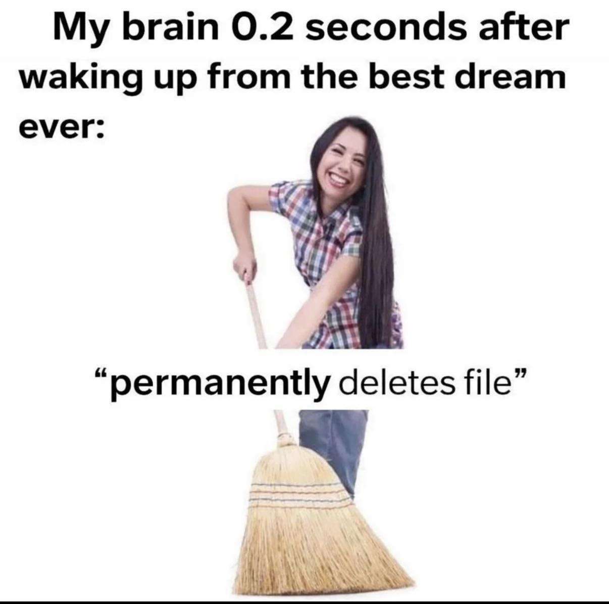 Meme Depicting Brain Deleting Best Dream Immediately After Waking