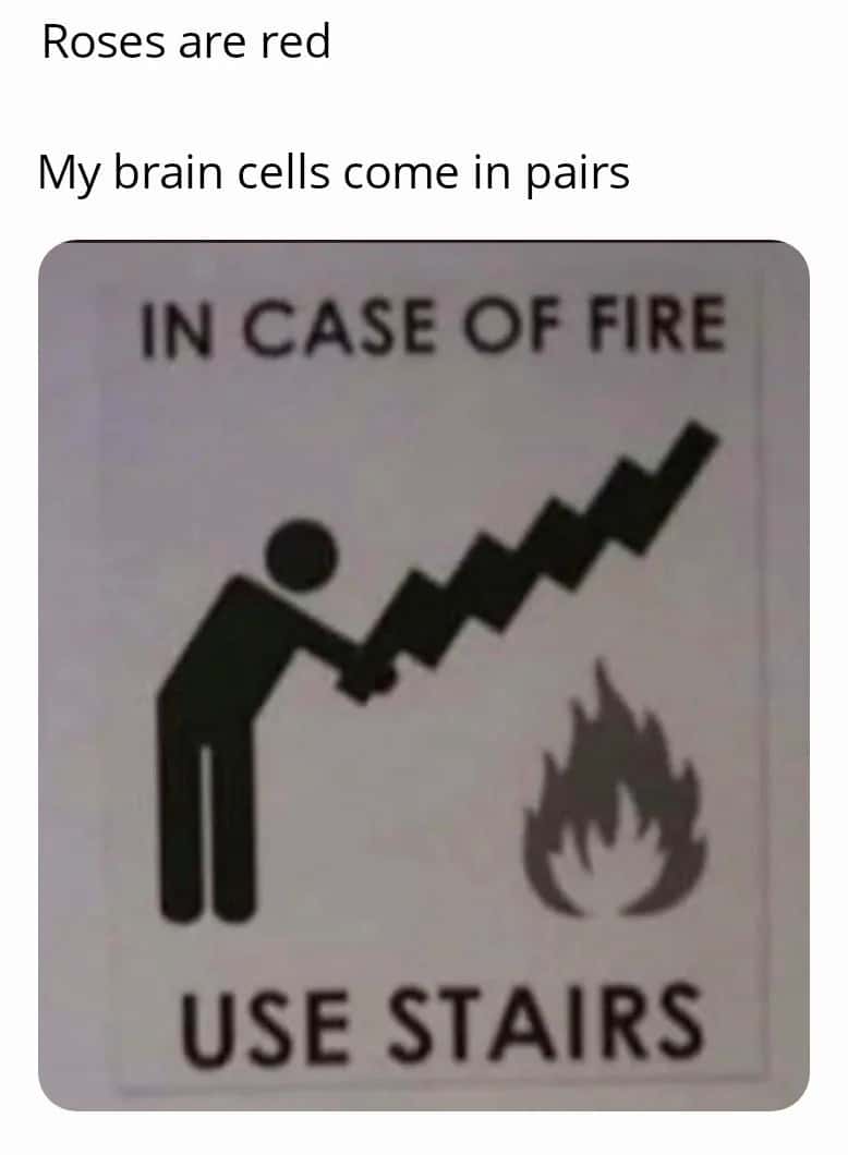 Relatable Meme About Low Brain Cells And The Fire Stairs Sign