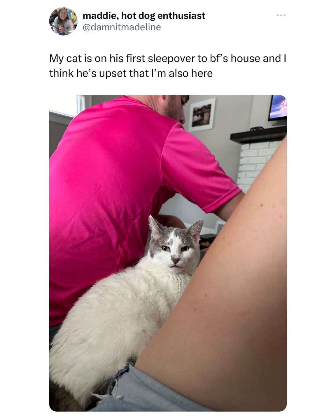 Relatable Pet Meme: Cat's First Sleepover At Boyfriend's Home