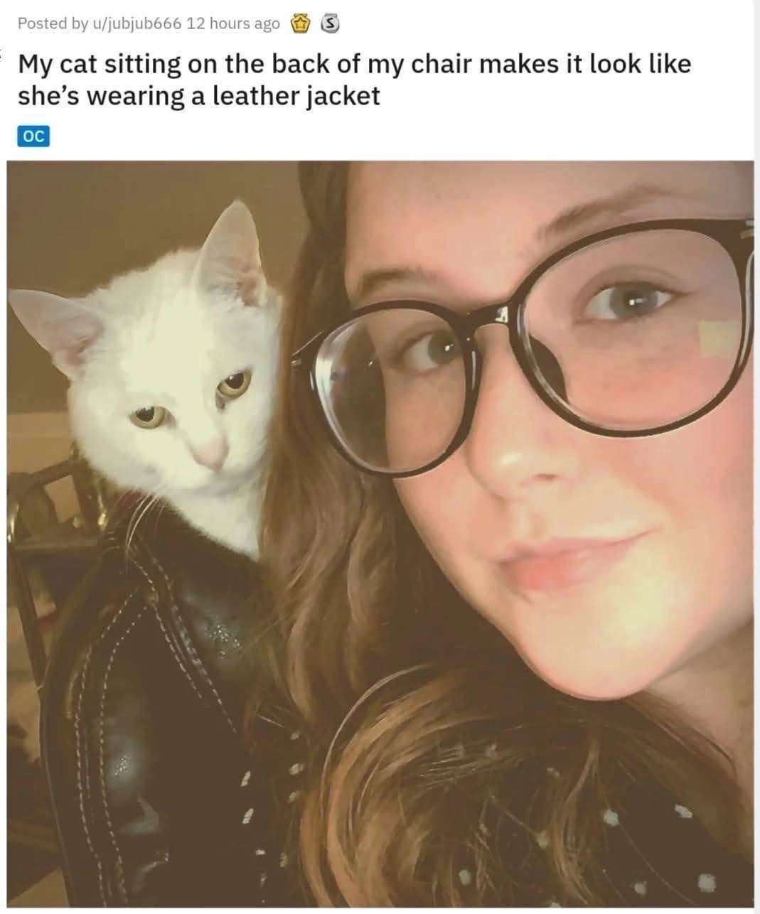 Funny Cat Meme Of A Cat In A Leather Jacket