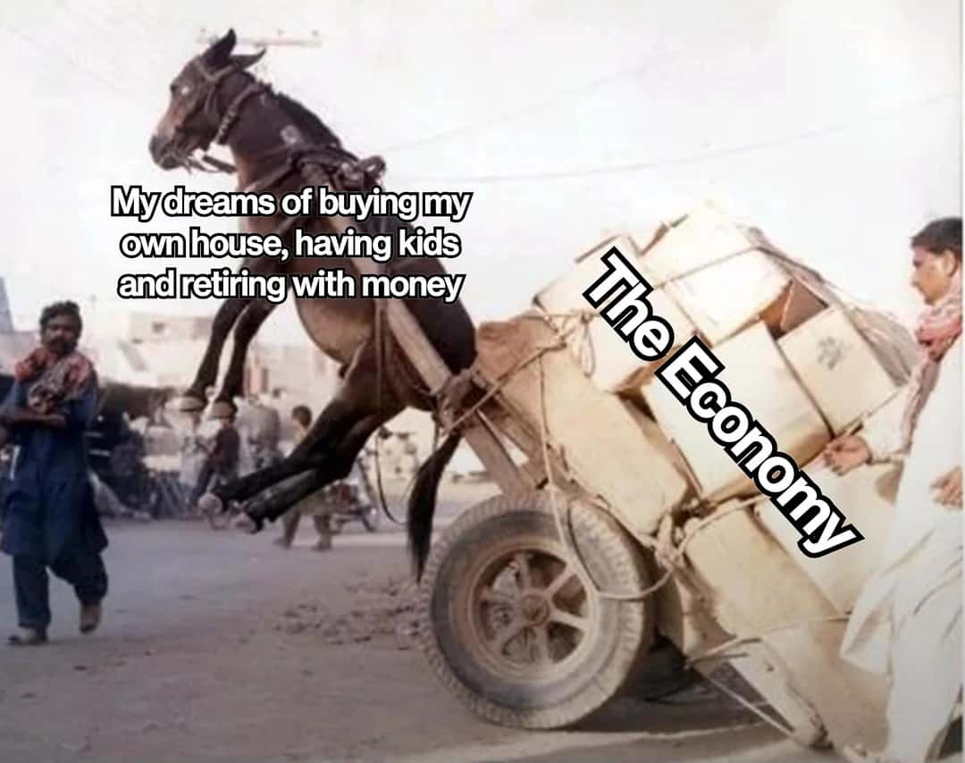 Economy Destroying My Life Goals Meme
