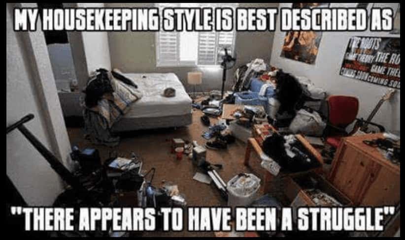 Hilarious Housekeeping Style Struggle Meme