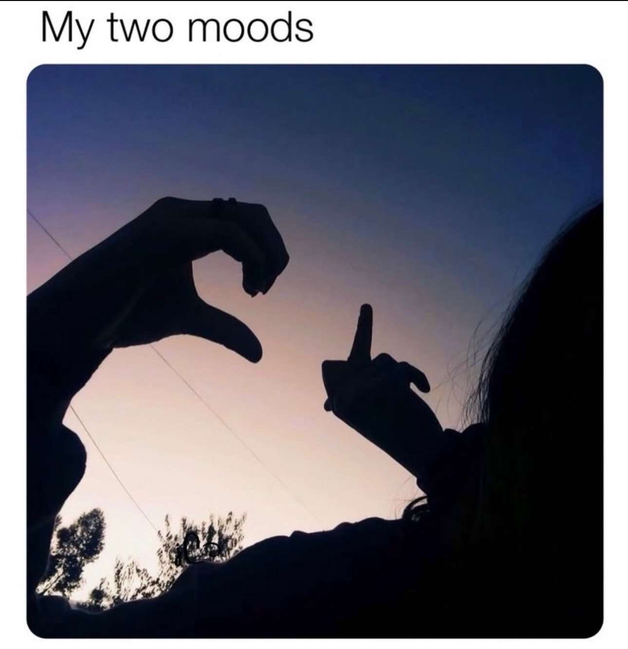 Meme Depicting Two Moods With Contrasting Hand Gestures At Sunset