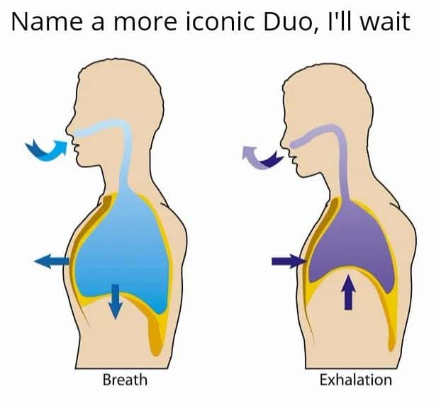 Breathing cycle meme: Name a more iconic duo