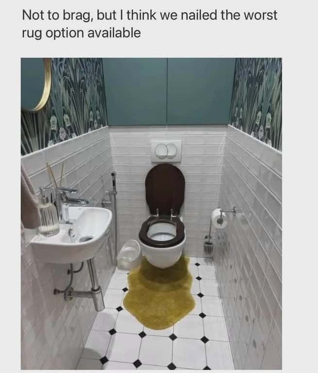 Funny Home Renovation Meme: Worst Bathroom Rug Option