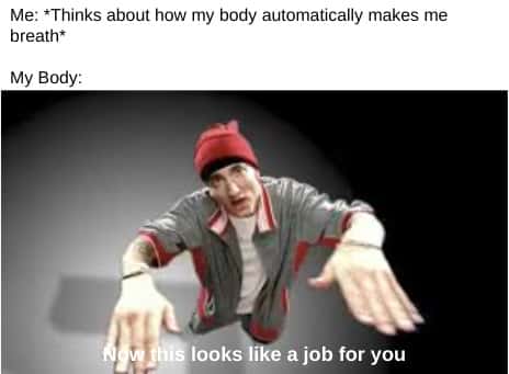 Now This Looks Like a Job For Me: Eminem meme for overthinking about body functions