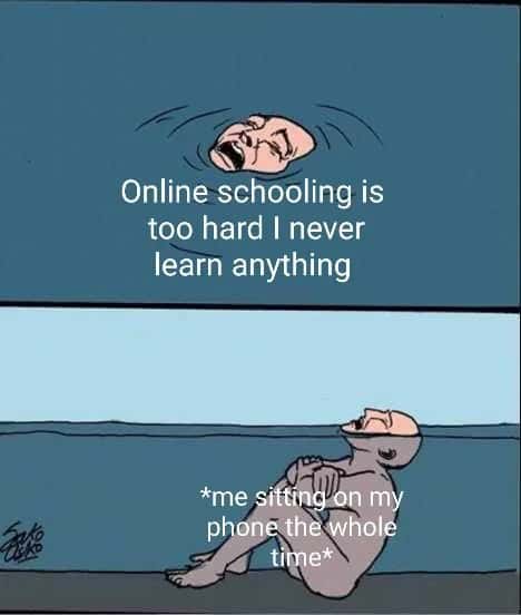 online school meme: complaining vs scrolling phone all time