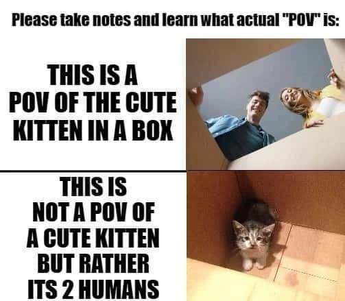 Pov meme teaching what real pov means with kitten in a box