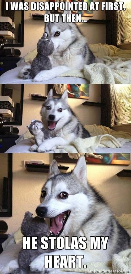 Pun dog meme delivering a cheesy love pun with a funny face
