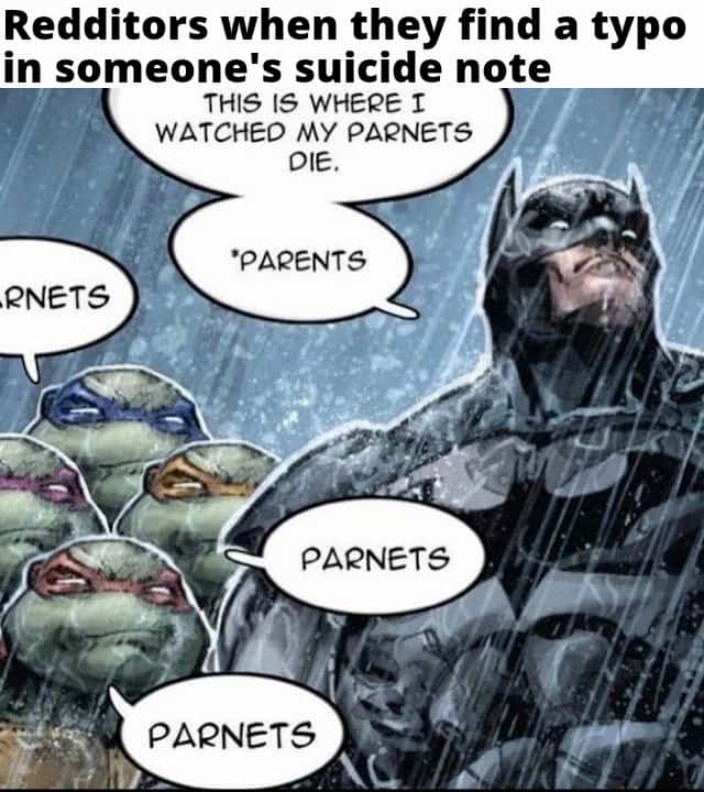 Batman And Turtles Meme About Redditors Correcting Typos