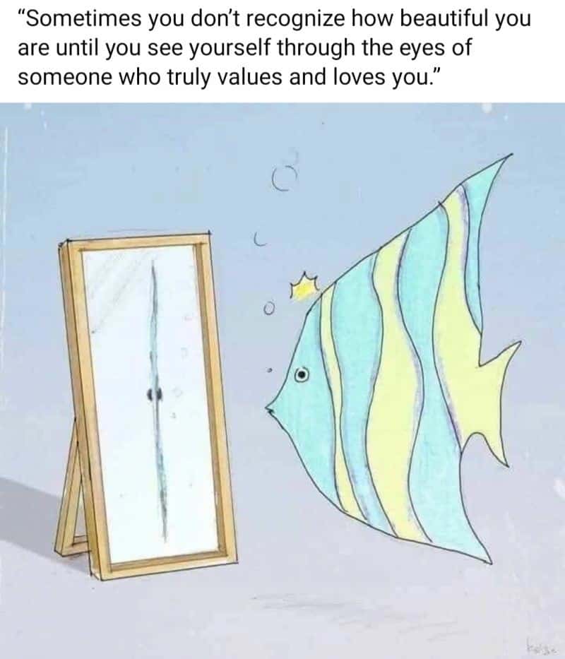 Heartwarming Self Love Quote Fish Mirror Meme