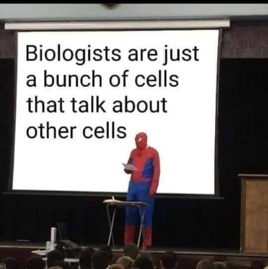 Spider-Man presentation meme about biologists being cells studying cells Spider-Man presentation meme about biologists being cells studying cells