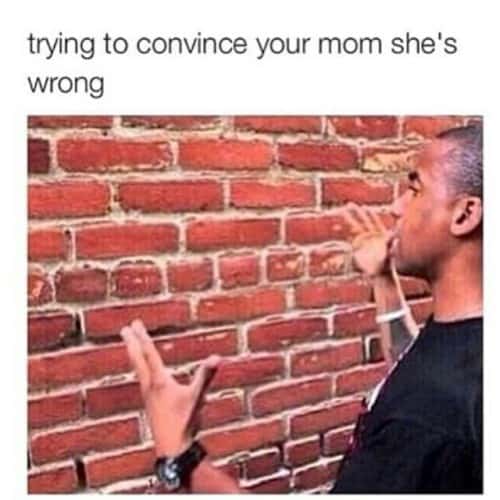 Talking To A Brick Wall: Meme about trying to reason with your mother Talking To A Brick Wall: Meme about trying to reason with your mother