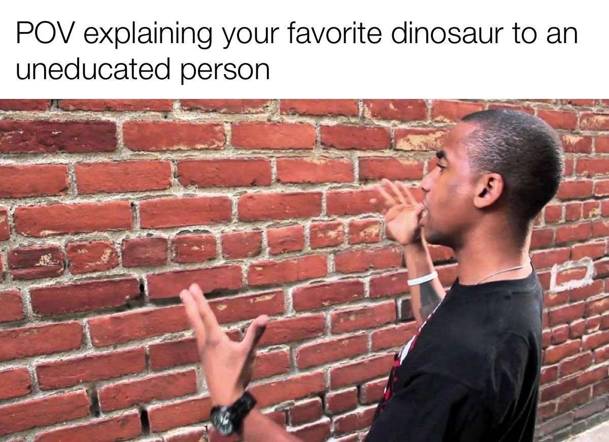 POV Dinosaur Meme: Frustration of explaining niche interests to an uninterested person. POV Dinosaur Meme: Frustration of explaining niche interests to an uninterested person.