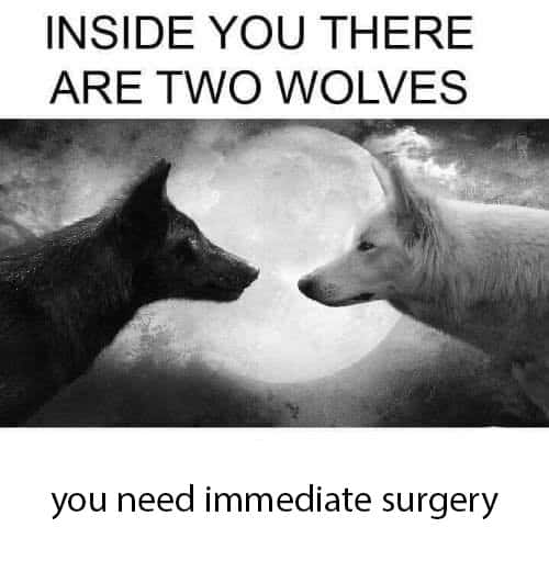 Two wolves meme with the unexpected immediate surgery punchline