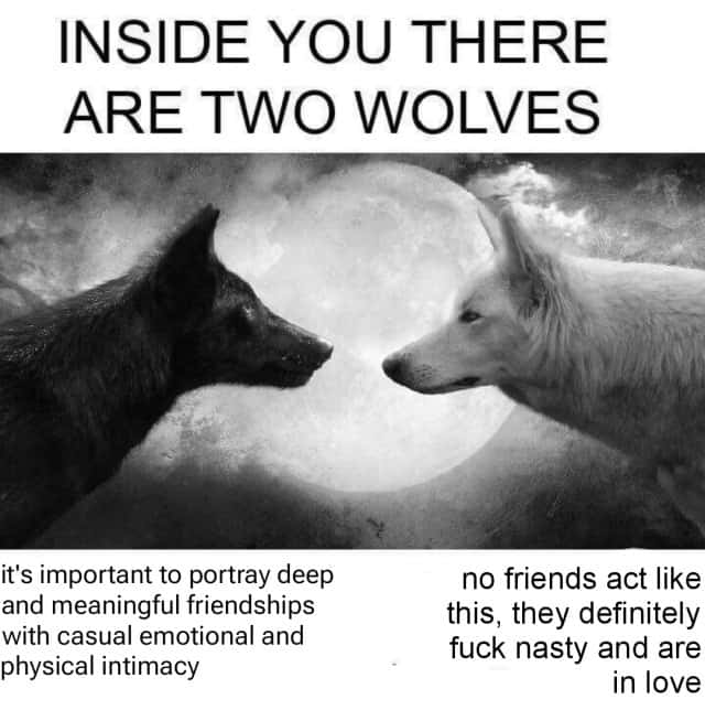 Two Wolves Inside You: Friendship Vs Love Relatable Joke Two Wolves Inside You: Friendship Vs Love Relatable Joke