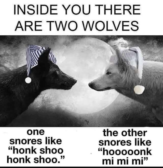 Two Wolves Inside You: Snoring Sounds Funny Sleep Parody Two Wolves Inside You: Snoring Sounds Funny Sleep Parody