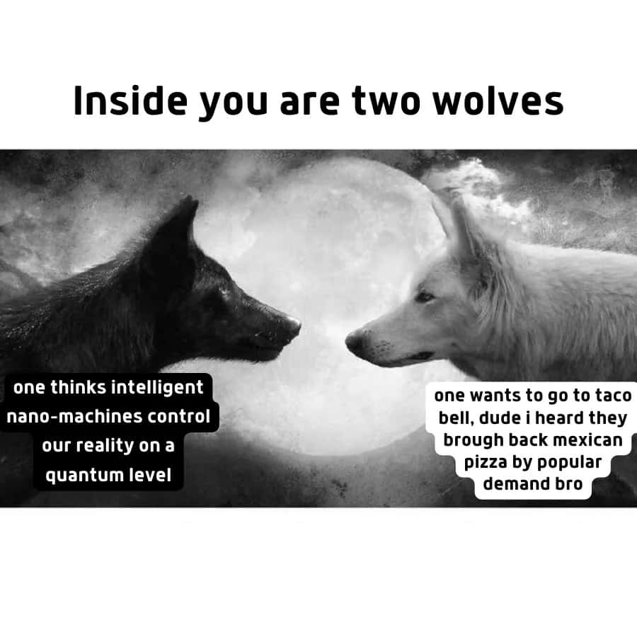 Two wolves meme one overthinks quantum reality the other just wants Taco Bell mexican pizza