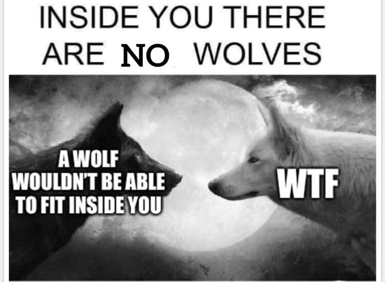 Sarcastic two wolves full moon meme debunking the inner wolf trope