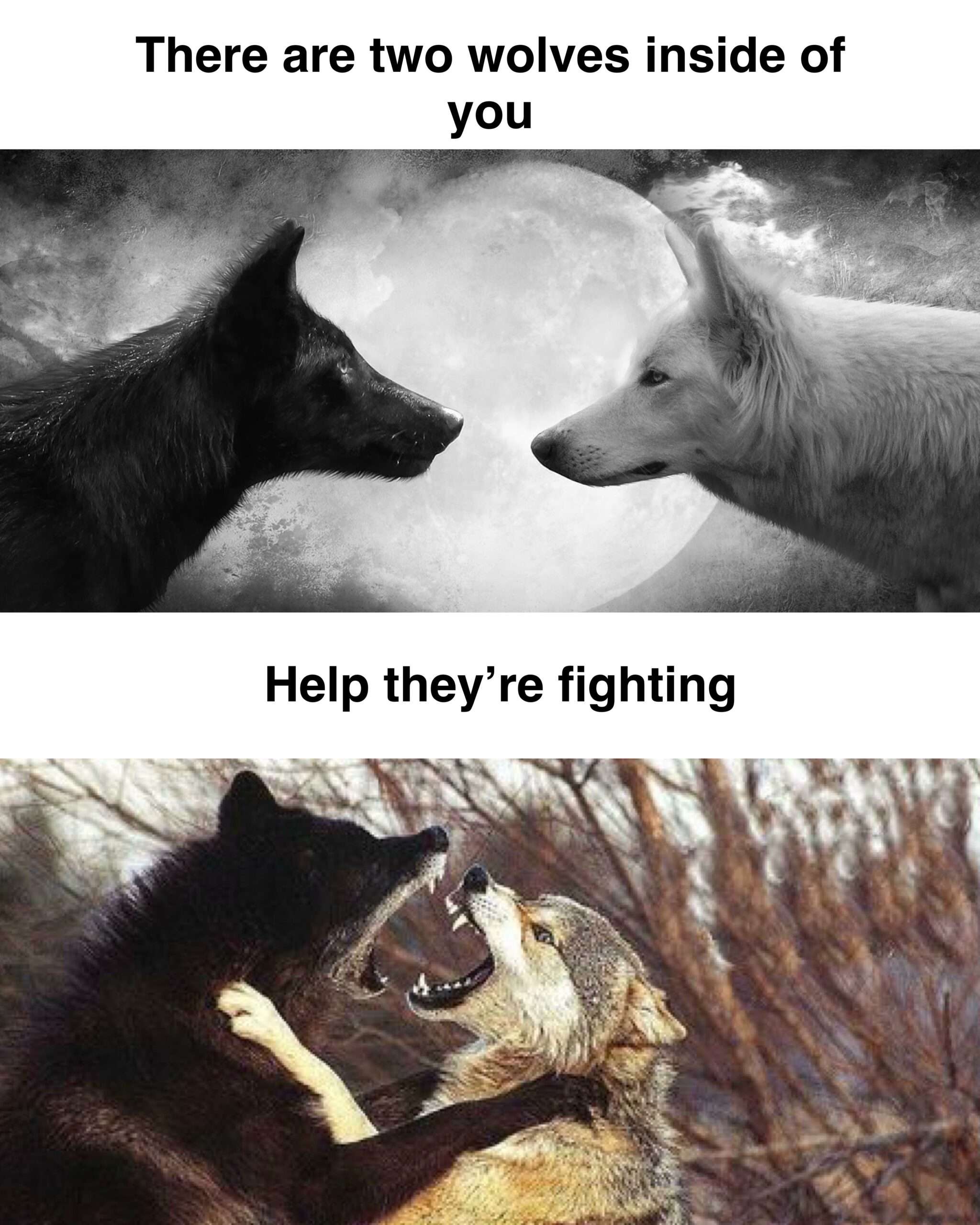 Two Wolves Inside You: They're Fighting Absurd Visual Parody Two Wolves Inside You: They're Fighting Absurd Visual Parody