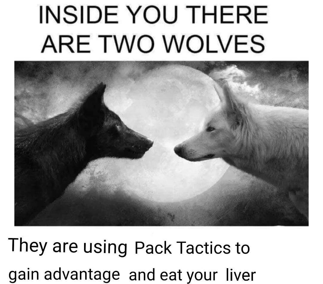 Two Wolves Inside You: Pack Tactics Liver Eating Dark Humor Parody Two Wolves Inside You: Pack Tactics Liver Eating Dark Humor Parody