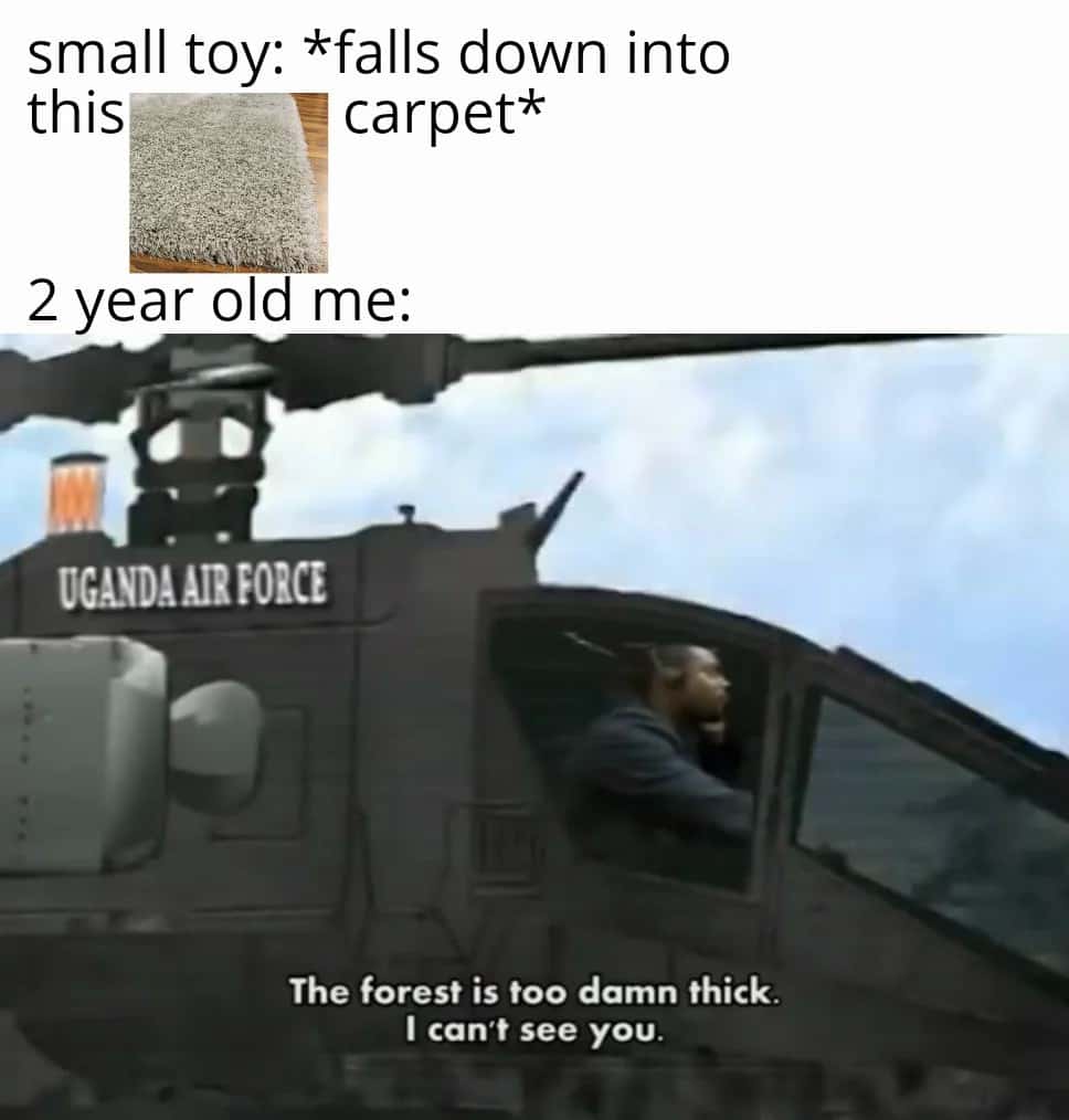Carpet Toy Search Meme