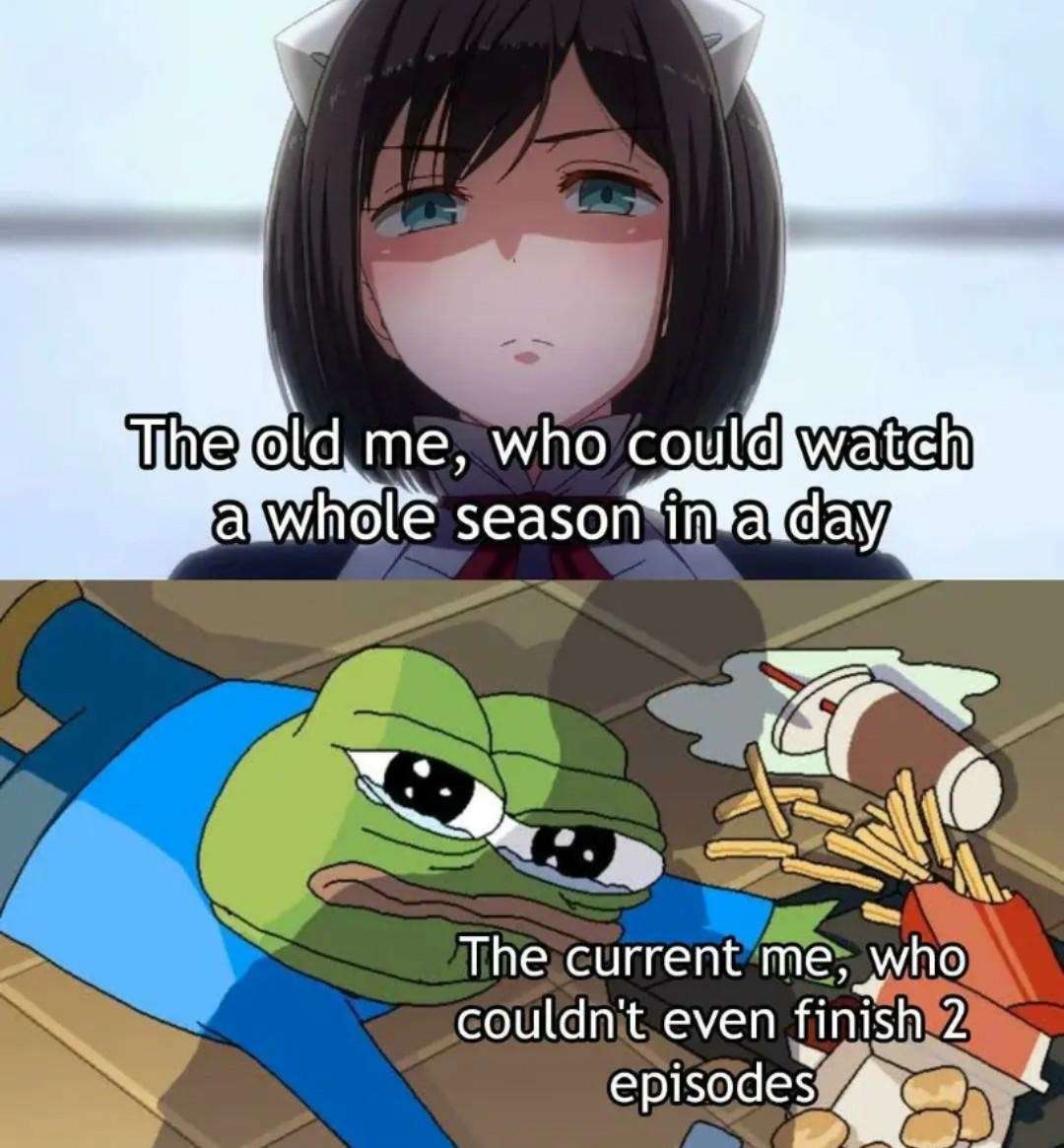 The Old Me Vs Current Me Binge Watching Meme