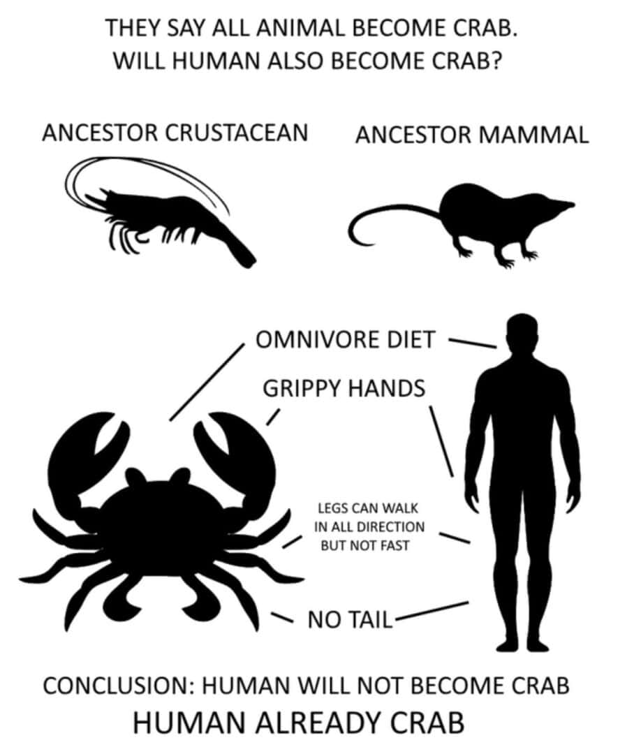Evolution meme about humans already being crabs