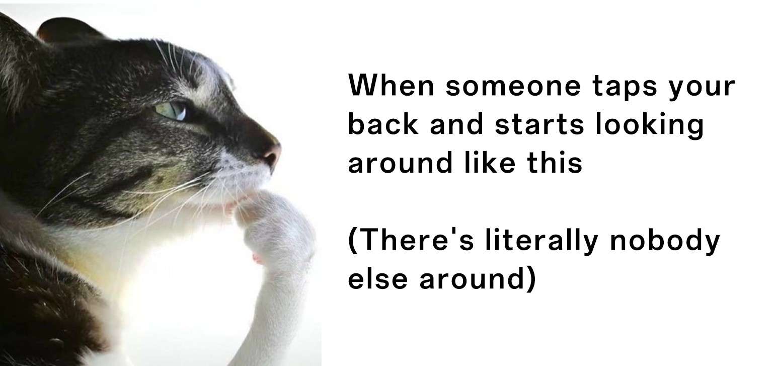 Thinking cat meme confused after someone taps your back and looks around