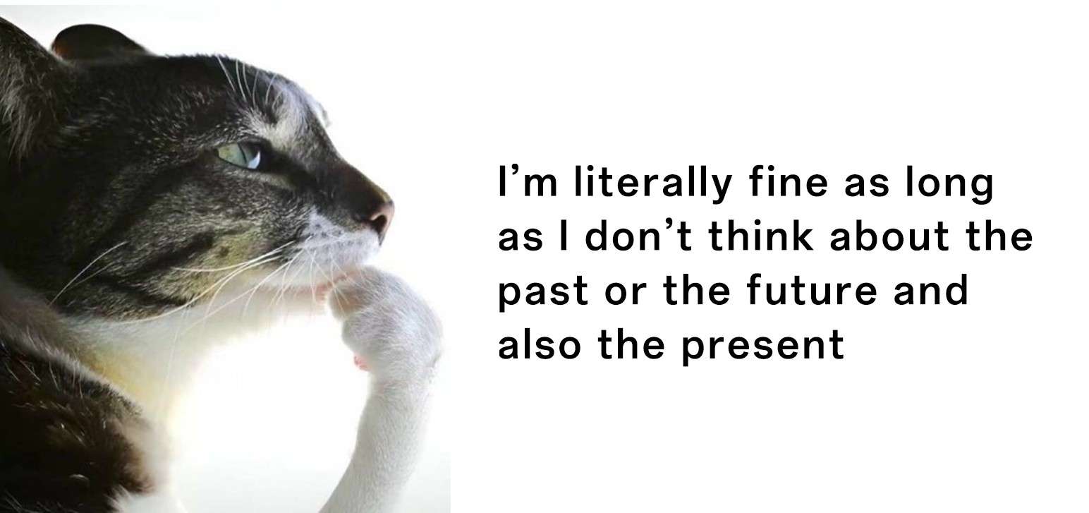 Thinking cat meme mentally avoiding all time periods to stay calm