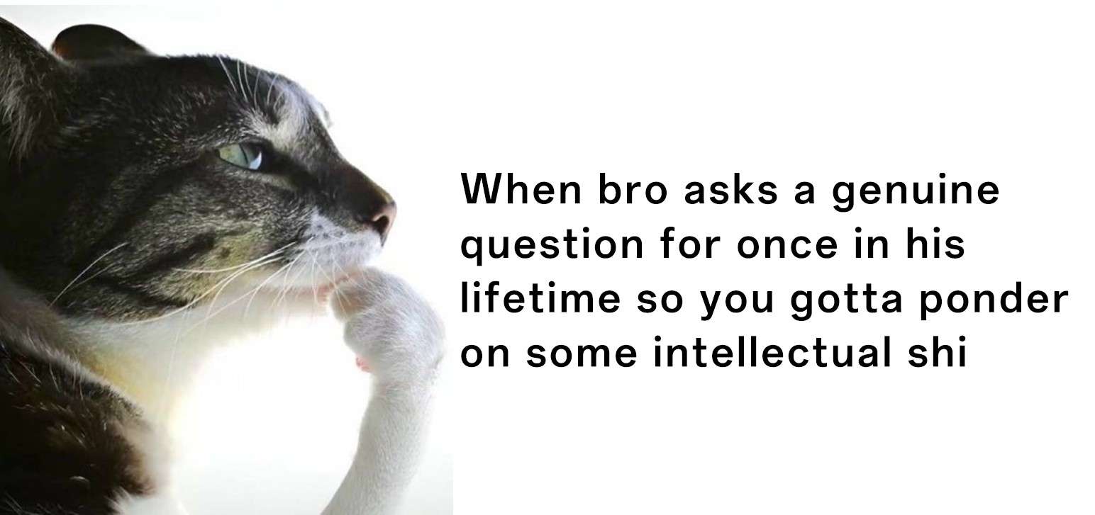 Thinking cat meme trying to sound smart for a genuine question