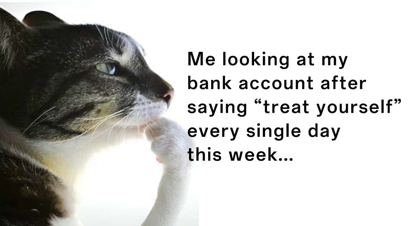 Thinking cat meme pondering empty bank balance after week of splurges