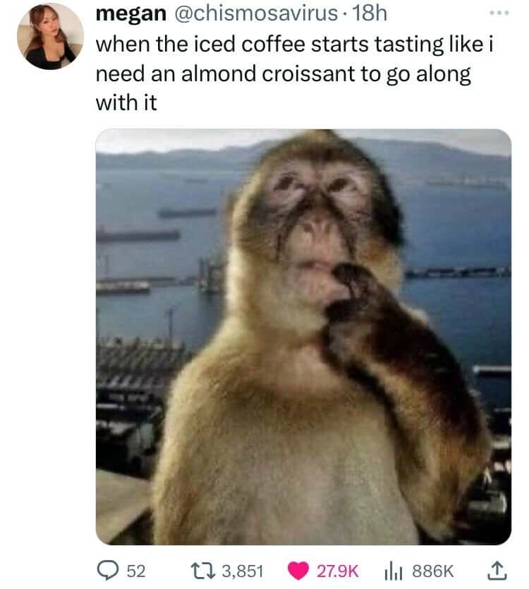 Thinking monkey meme craving almond croissant with iced coffee