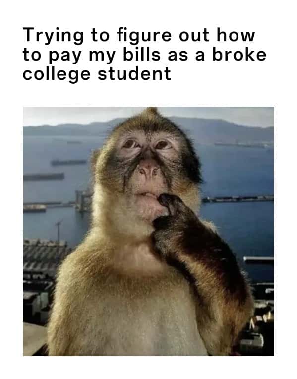 Thinking monkey meme figuring out how to pay bills as broke college student
