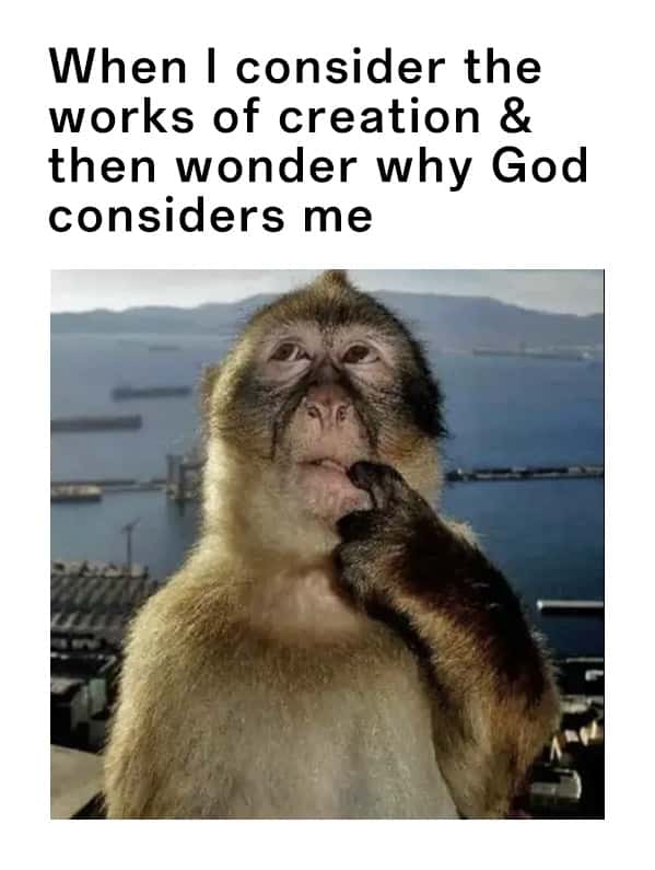 Thinking monkey meme wondering why god considers me