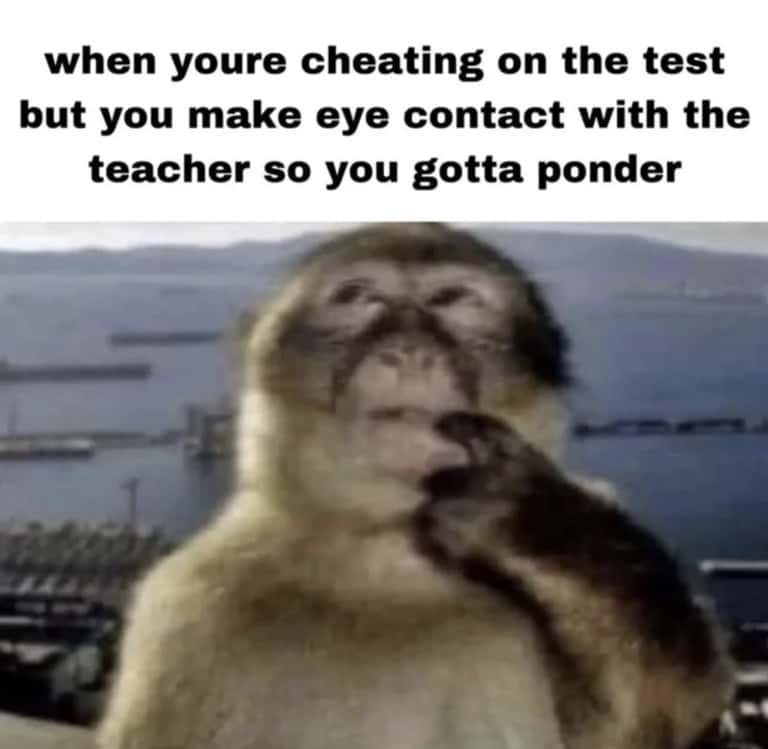 Thinking monkey meme pondering after making eye contact with teacher while cheating on test